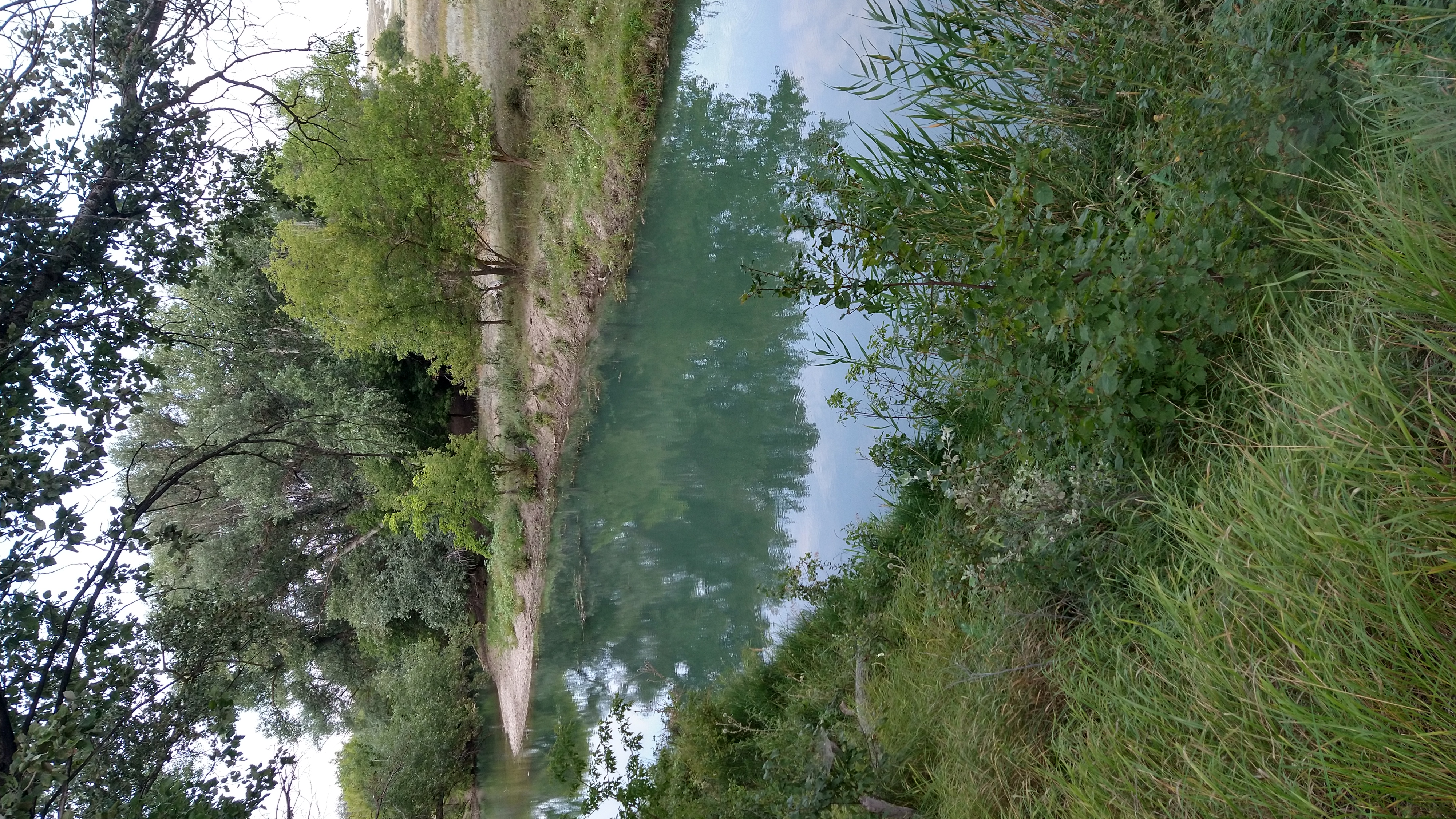 Пример изображения 2