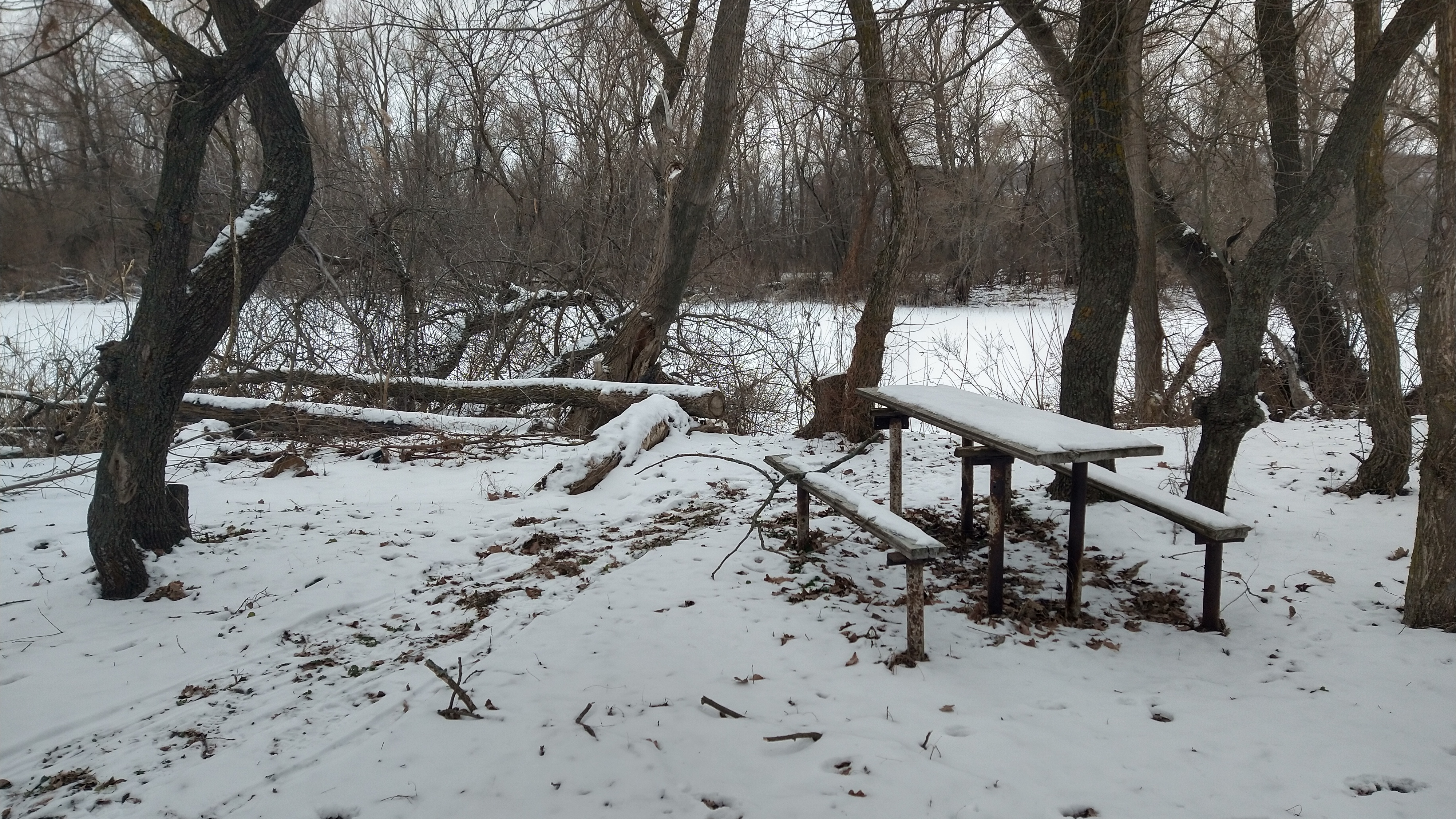 Пример изображения 3